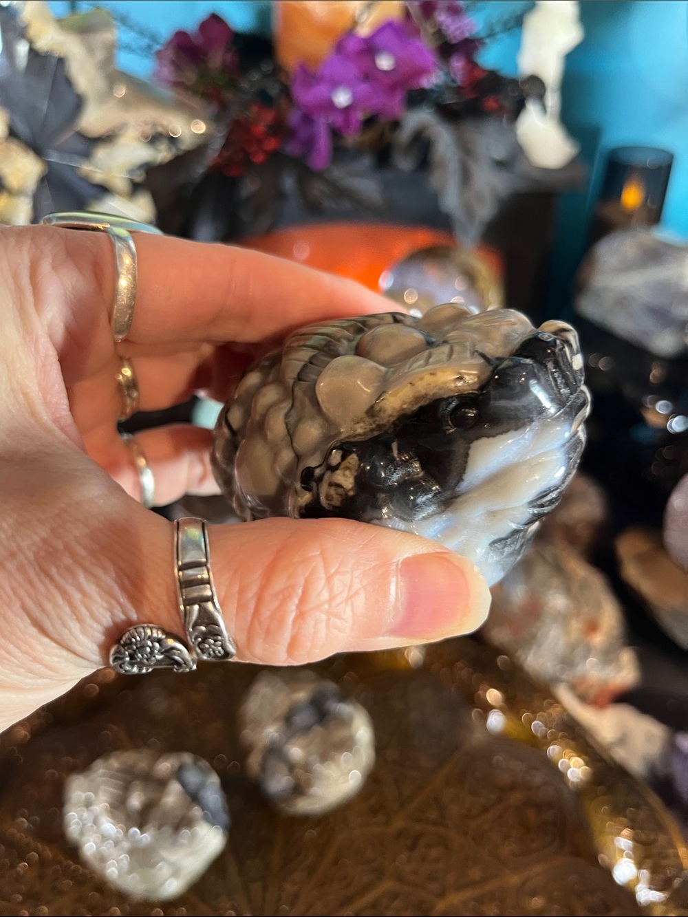 Volcano agate money toad - Picture 5 of 6